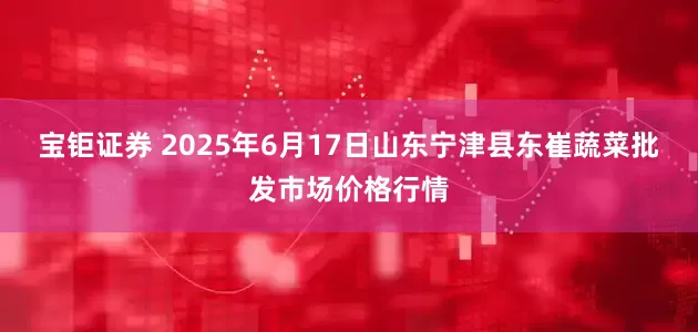 宝钜证券 2025年6月17日山东宁津县东崔蔬菜批发市场价格行情