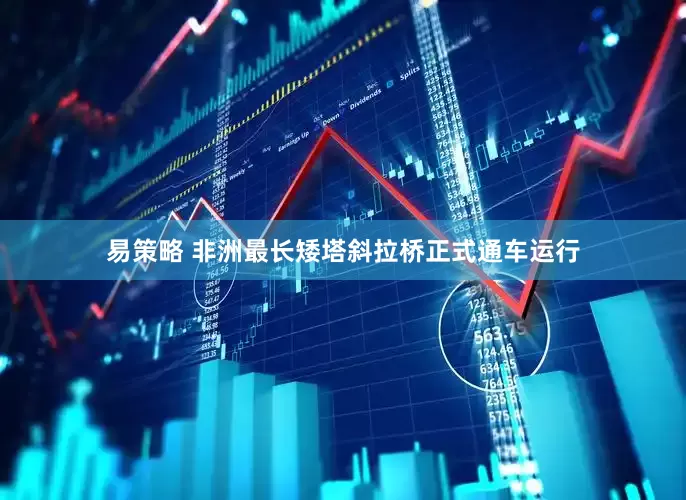 易策略 非洲最长矮塔斜拉桥正式通车运行