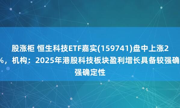 股涨柜 恒生科技ETF嘉实(159741)盘中上涨2.18%，机构：2025年港股科技板块盈利增长具备较强确定性