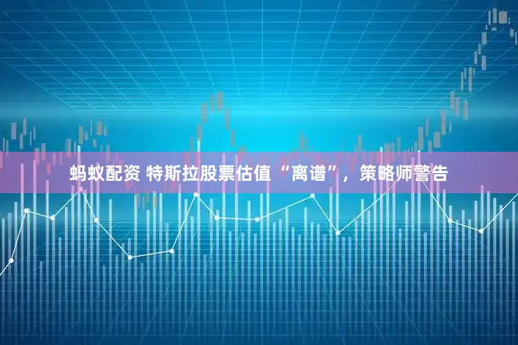 蚂蚁配资 特斯拉股票估值 “离谱”，策略师警告