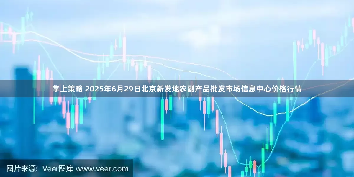 掌上策略 2025年6月29日北京新发地农副产品批发市场信息中心价格行情