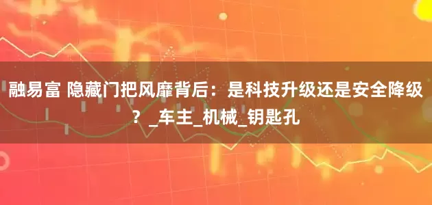 融易富 隐藏门把风靡背后：是科技升级还是安全降级？_车主_机械_钥匙孔