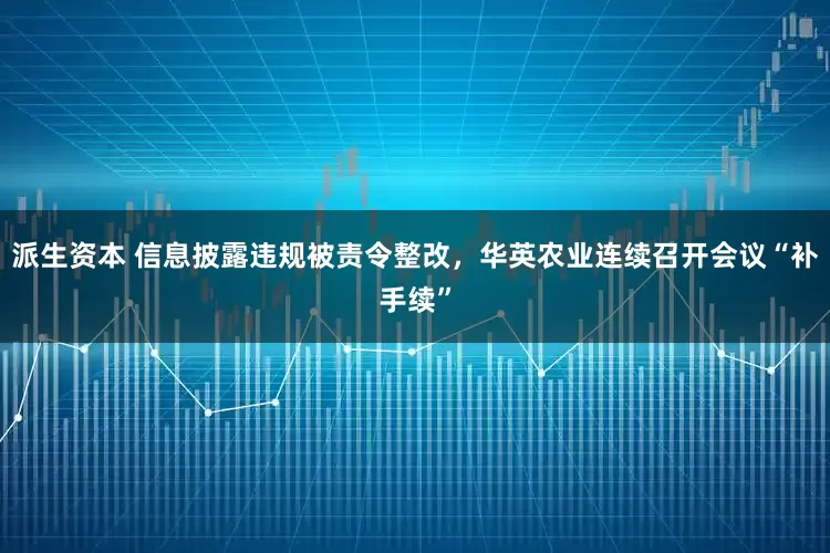 派生资本 信息披露违规被责令整改，华英农业连续召开会议“补手续”